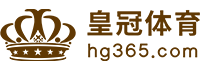 Logo 大红鹰dhy8866